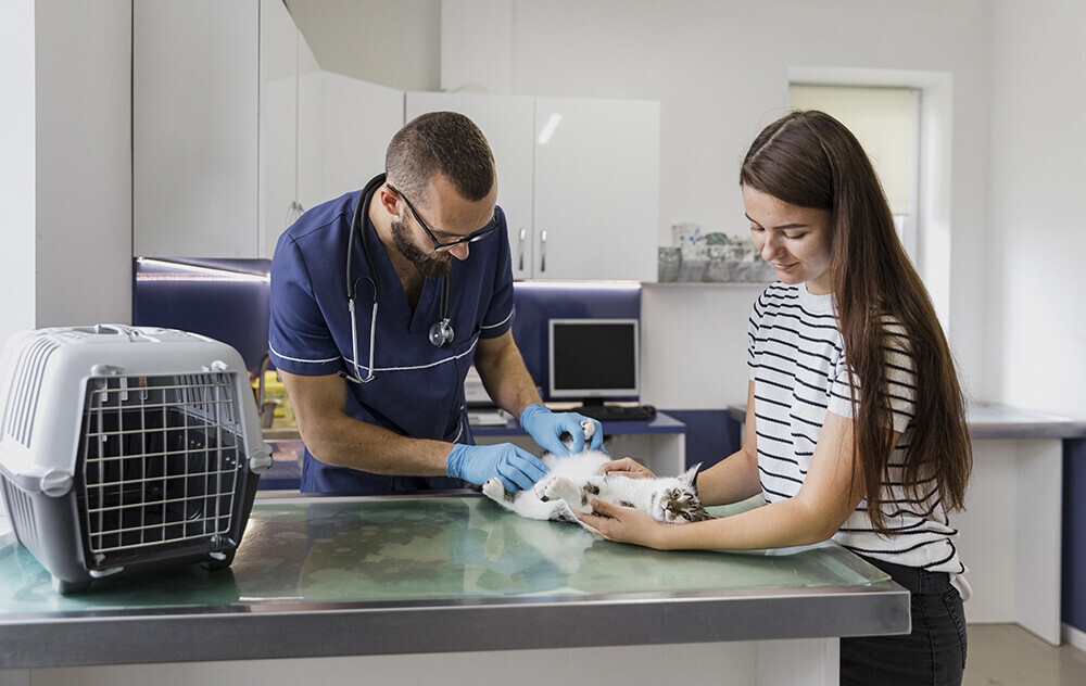 Veterinarian with Cat and Owner