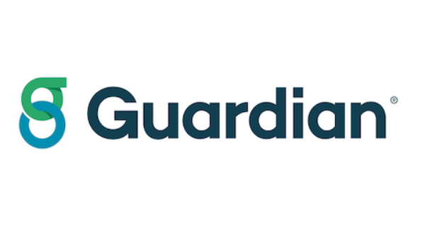 GSI Disability Insurance - What Is It?